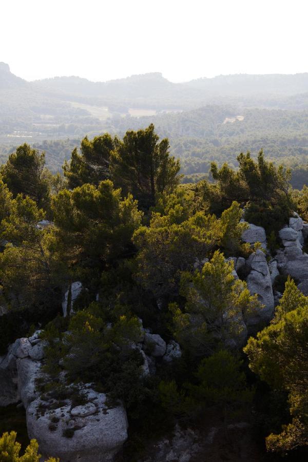 Le Mas Angelou Maussane les Alpilles Dış mekan fotoğraf