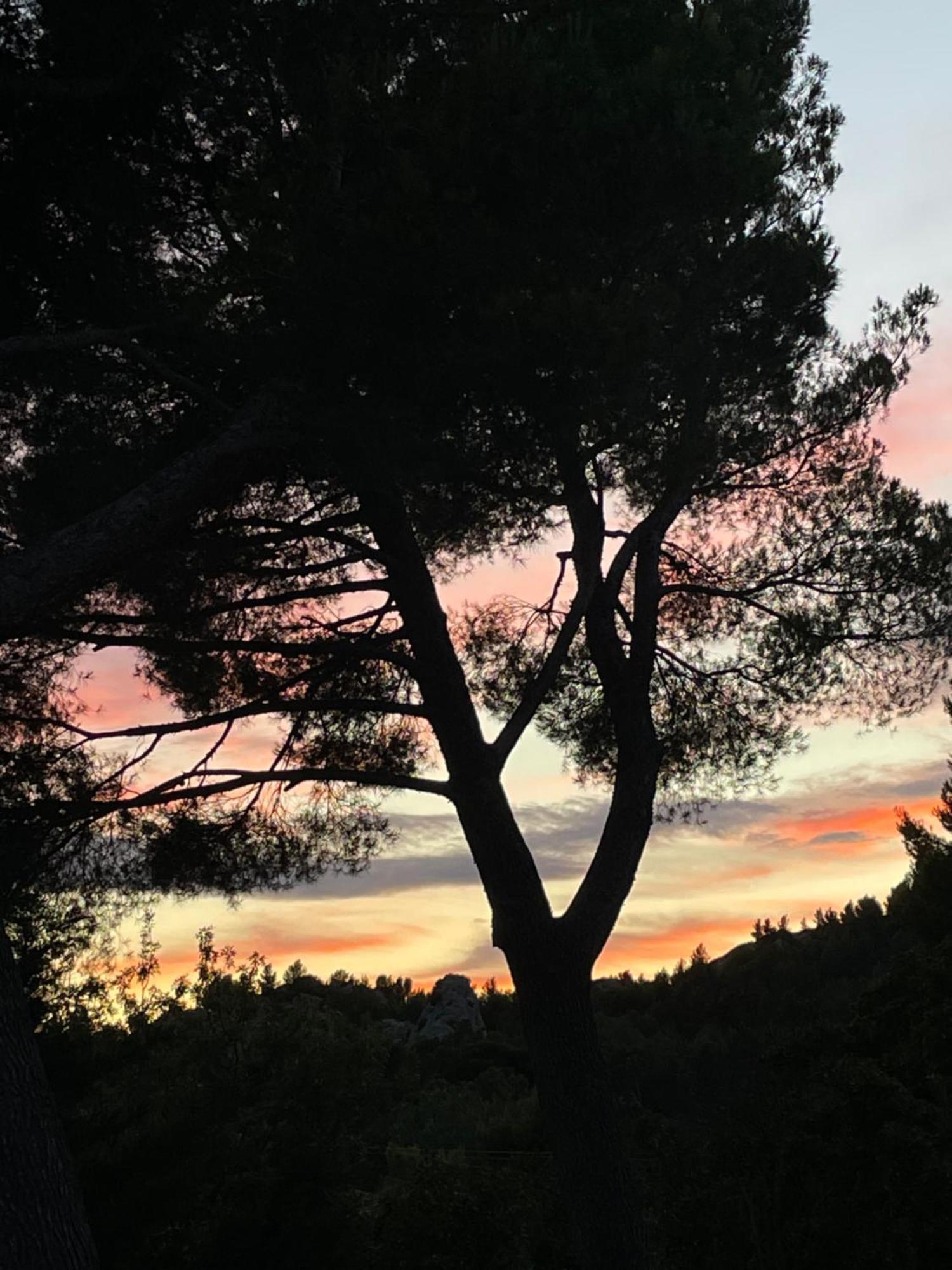Le Mas Angelou Maussane les Alpilles Dış mekan fotoğraf